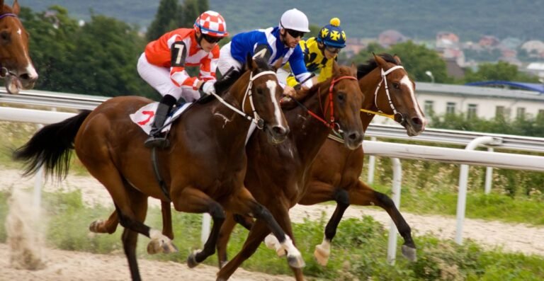 Technology Advancement of Horse Caretaker